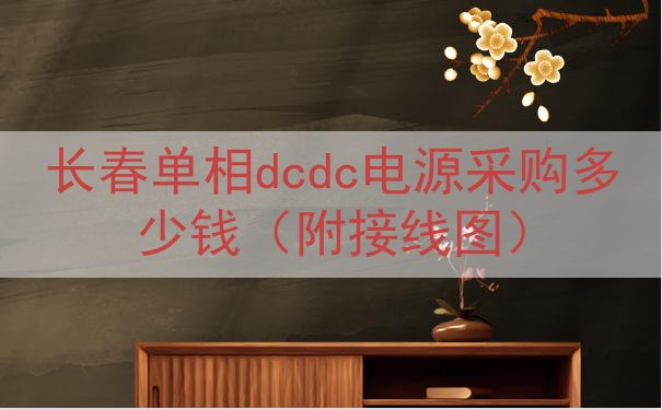长春单相dcdc电源采购多少钱（附接线图）